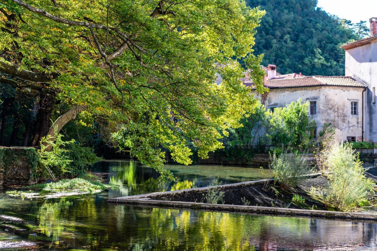 Panorama Glamping Vipavska Dolina Apartment Dobravlje Екстериор снимка